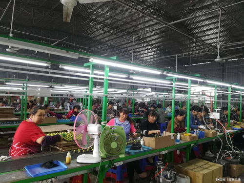 從個(gè)人護(hù)理電器看大學(xué)生進(jìn)廠 是“丟面子”還是“拓視野”？